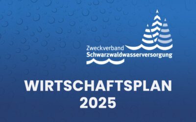 Feststellung des Wirtschaftsplanes für das Wirtschaftsjahr 2025