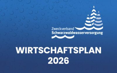 Wirtschaftsplan 2026